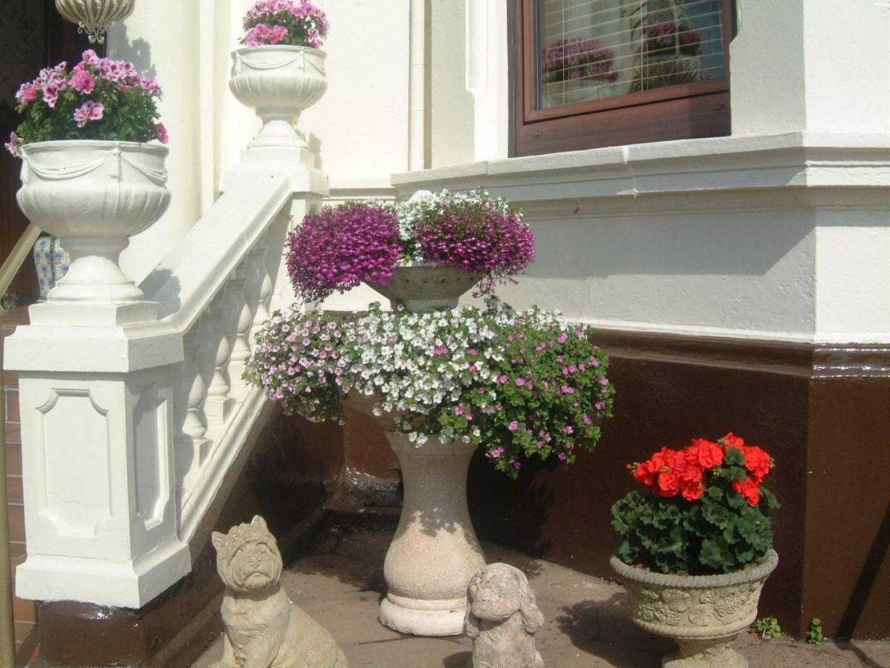 Manor House B And B Ларн Экстерьер фото